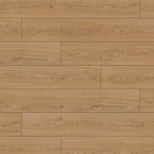 Laminate Flooring - Elite XL 12mm