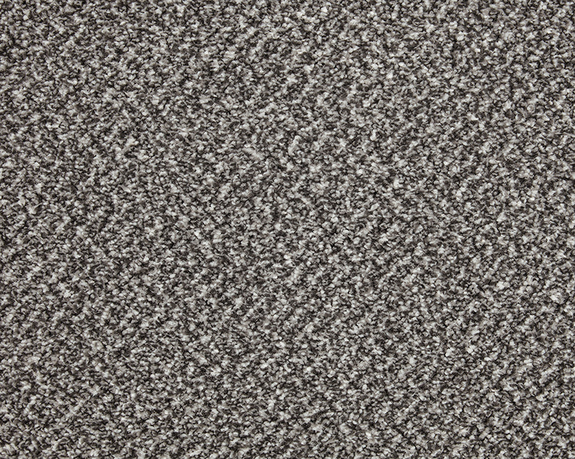 Easy Living Tweeds Carpet
