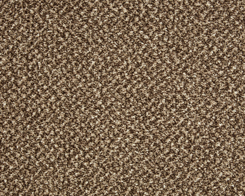 Easy Living Tweeds Carpet