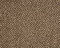 Easy Living Tweeds Carpet