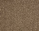 Easy Living Tweeds Carpet