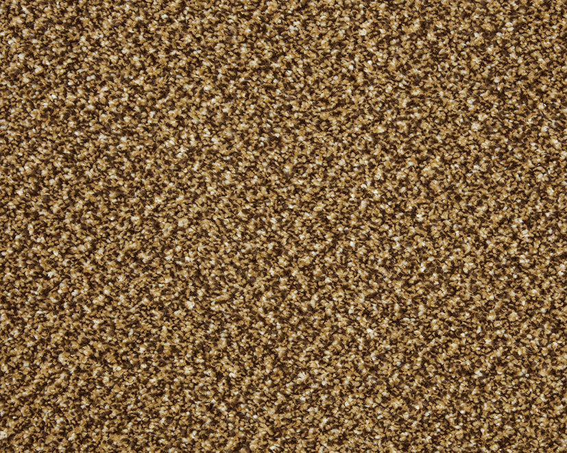 Easy Living Tweeds Carpet