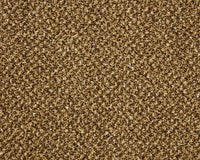 Easy Living Tweeds Carpet