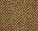 Easy Living Tweeds Carpet