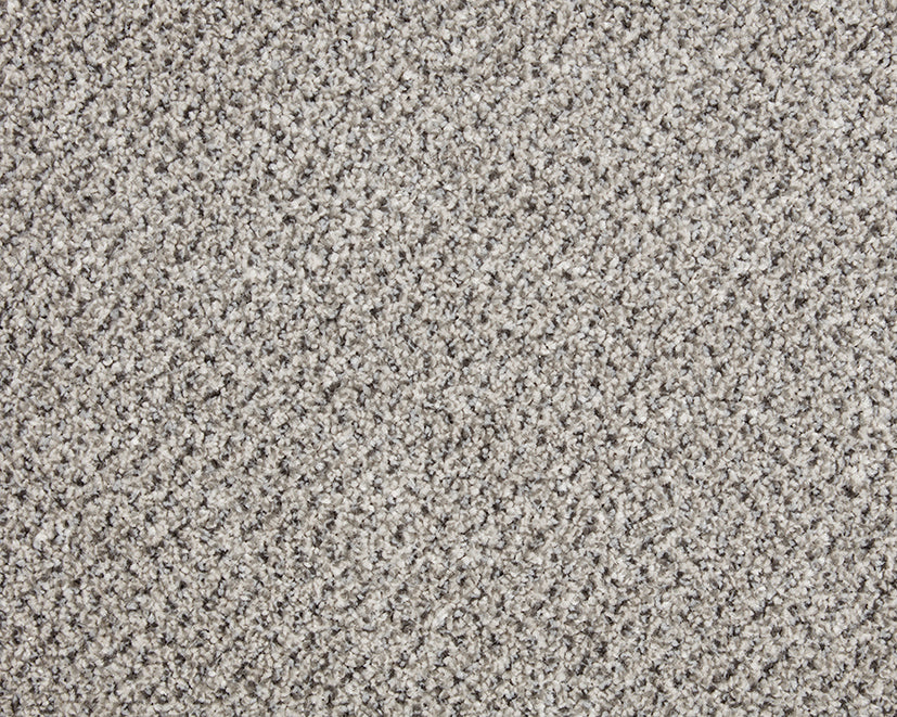 Easy Living Tweeds Carpet