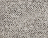 Easy Living Tweeds Carpet
