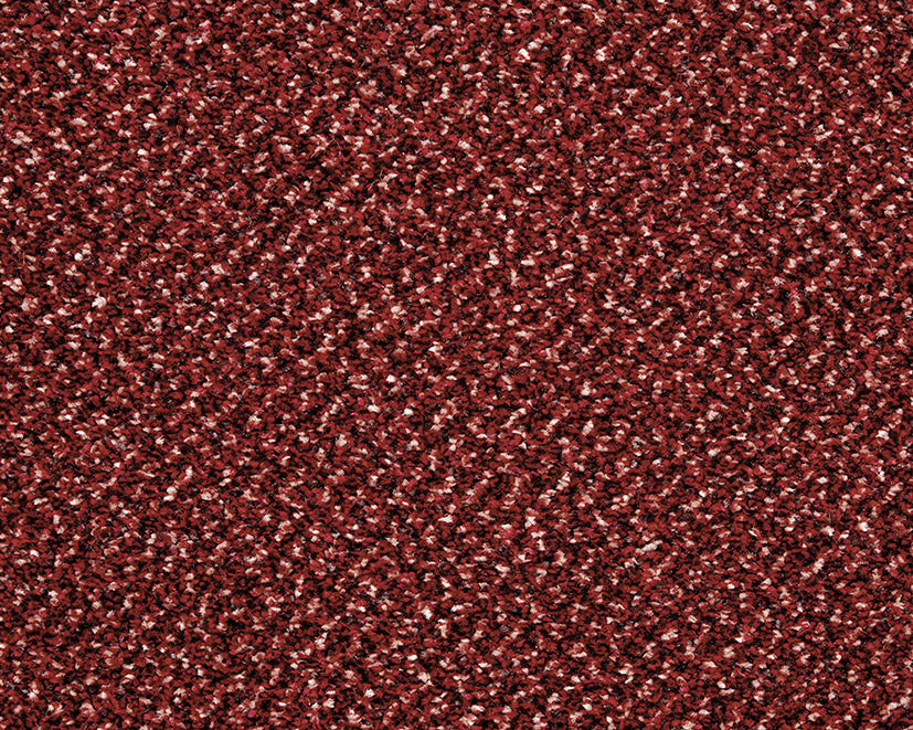 Easy Living Tweeds Carpet