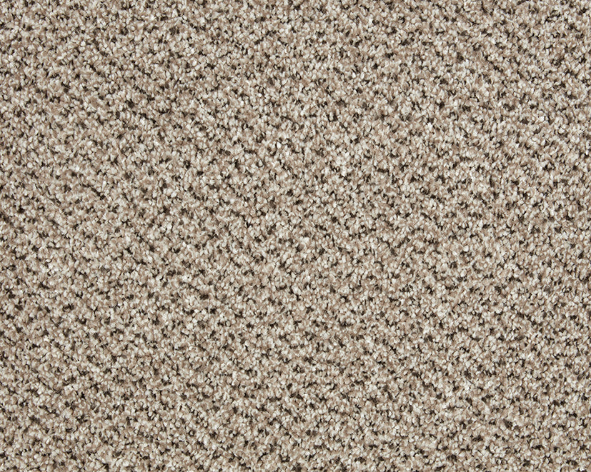 Easy Living Tweeds Carpet