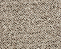 Easy Living Tweeds Carpet