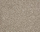 Easy Living Tweeds Carpet