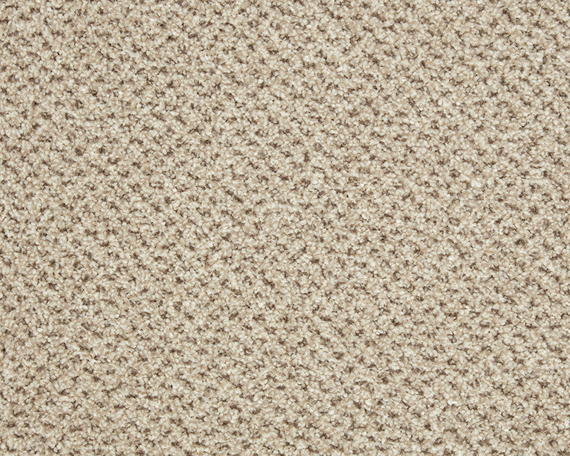 Easy Living Tweeds Carpet