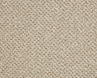 Easy Living Tweeds Carpet
