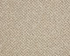 Easy Living Tweeds Carpet