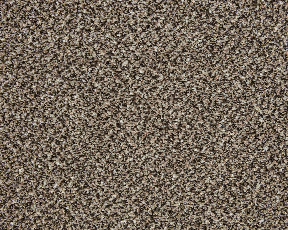 Easy Living Tweeds Carpet