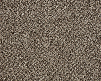 Easy Living Tweeds Carpet