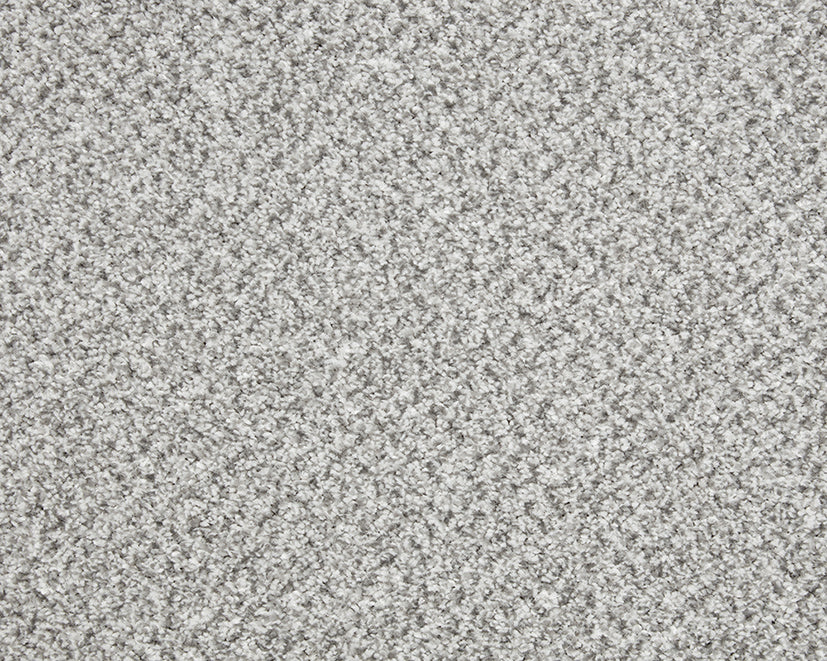 Easy Living Tweeds Carpet