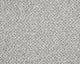 Easy Living Tweeds Carpet