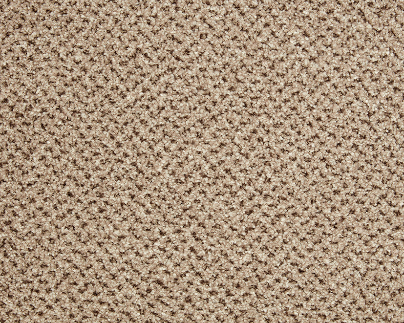 Easy Living Tweeds Carpet