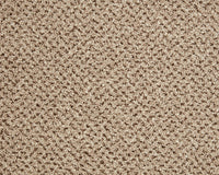 Easy Living Tweeds Carpet
