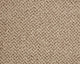 Easy Living Tweeds Carpet