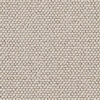 Elements Carpet
