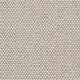 Elements Carpet