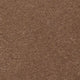 Velvet Collection Carpet - Brintons