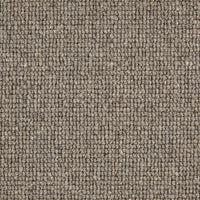 Bologna Carpet