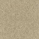 Holkham Carpet