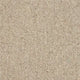 Fistral Carpet
