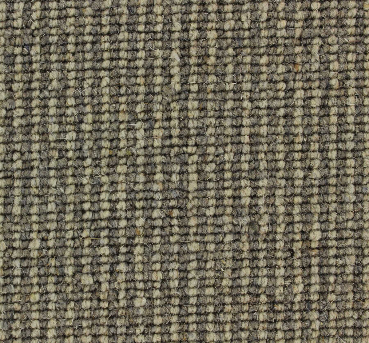 Livorno Carpet