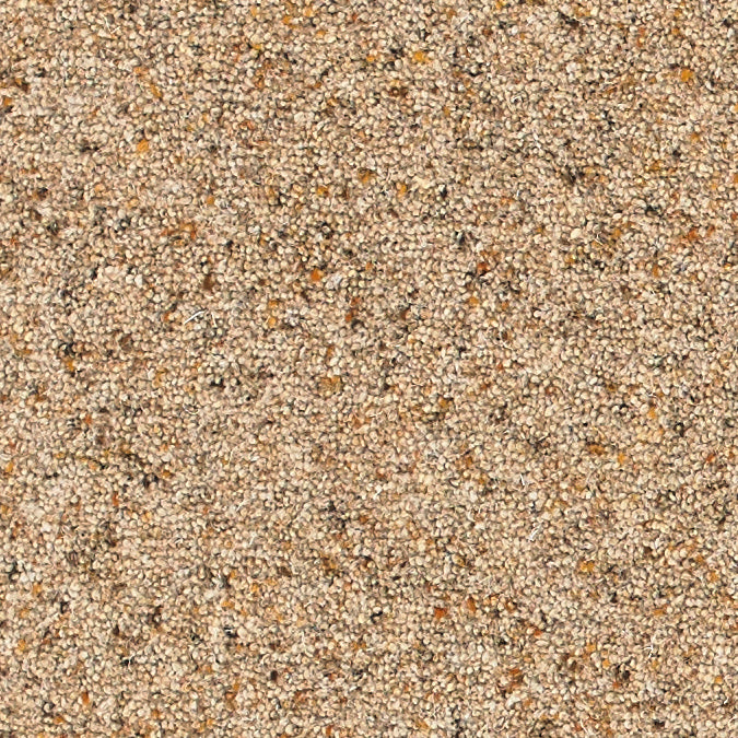 Brockway - Orion Twist Carpet