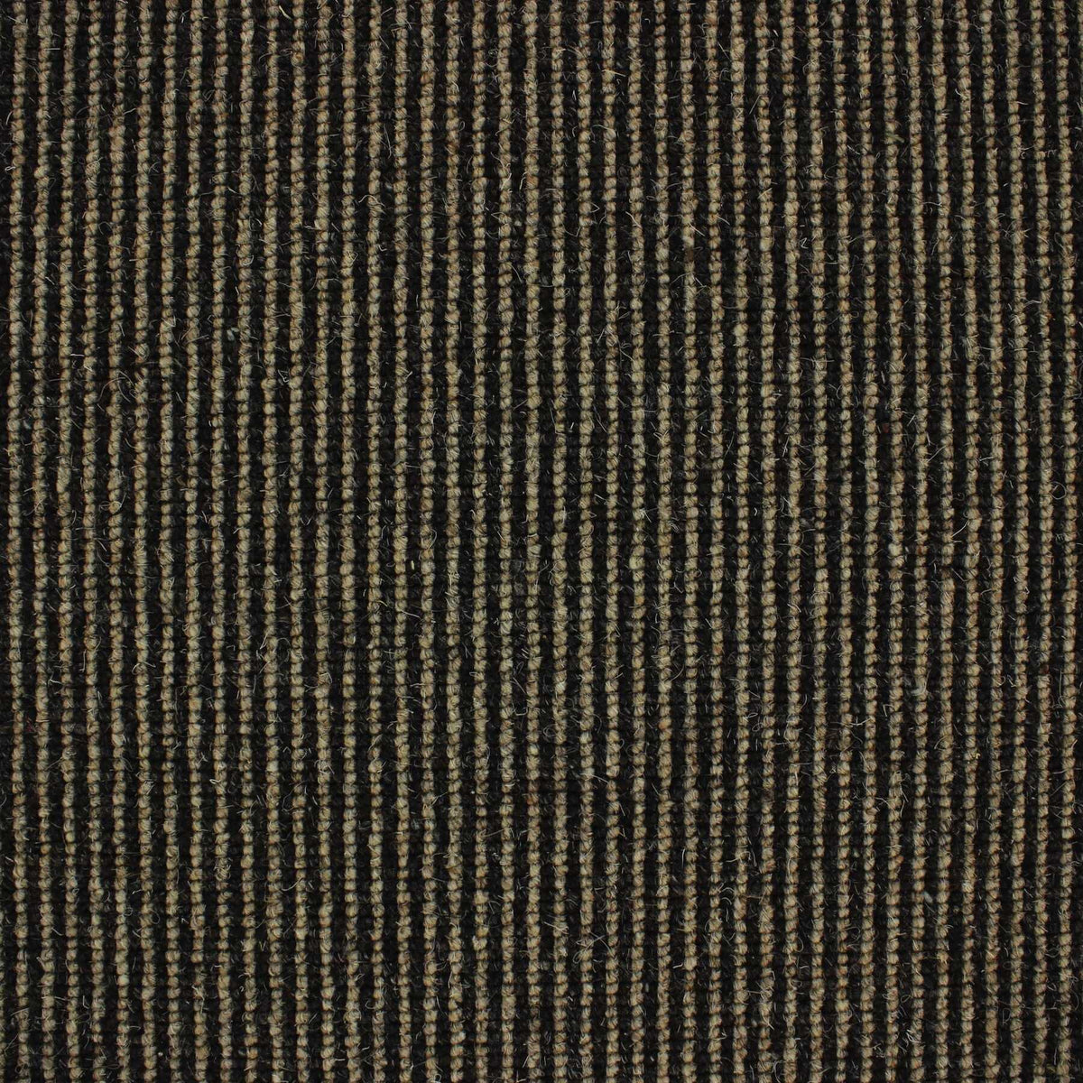 Livorno Carpet