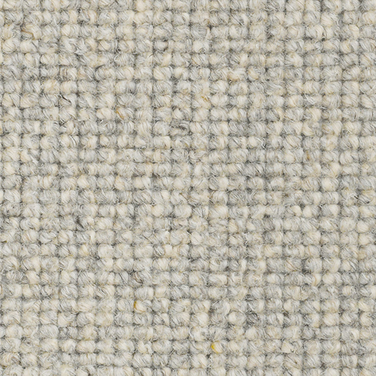 Padstow Carpet