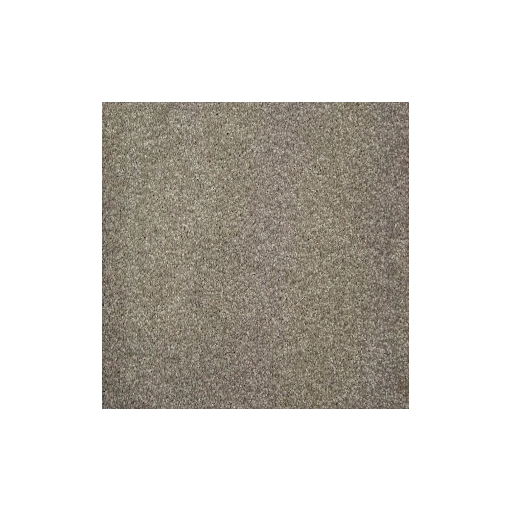 Harmony Carpet