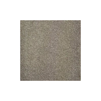 Harmony Carpet