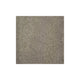 Harmony Carpet
