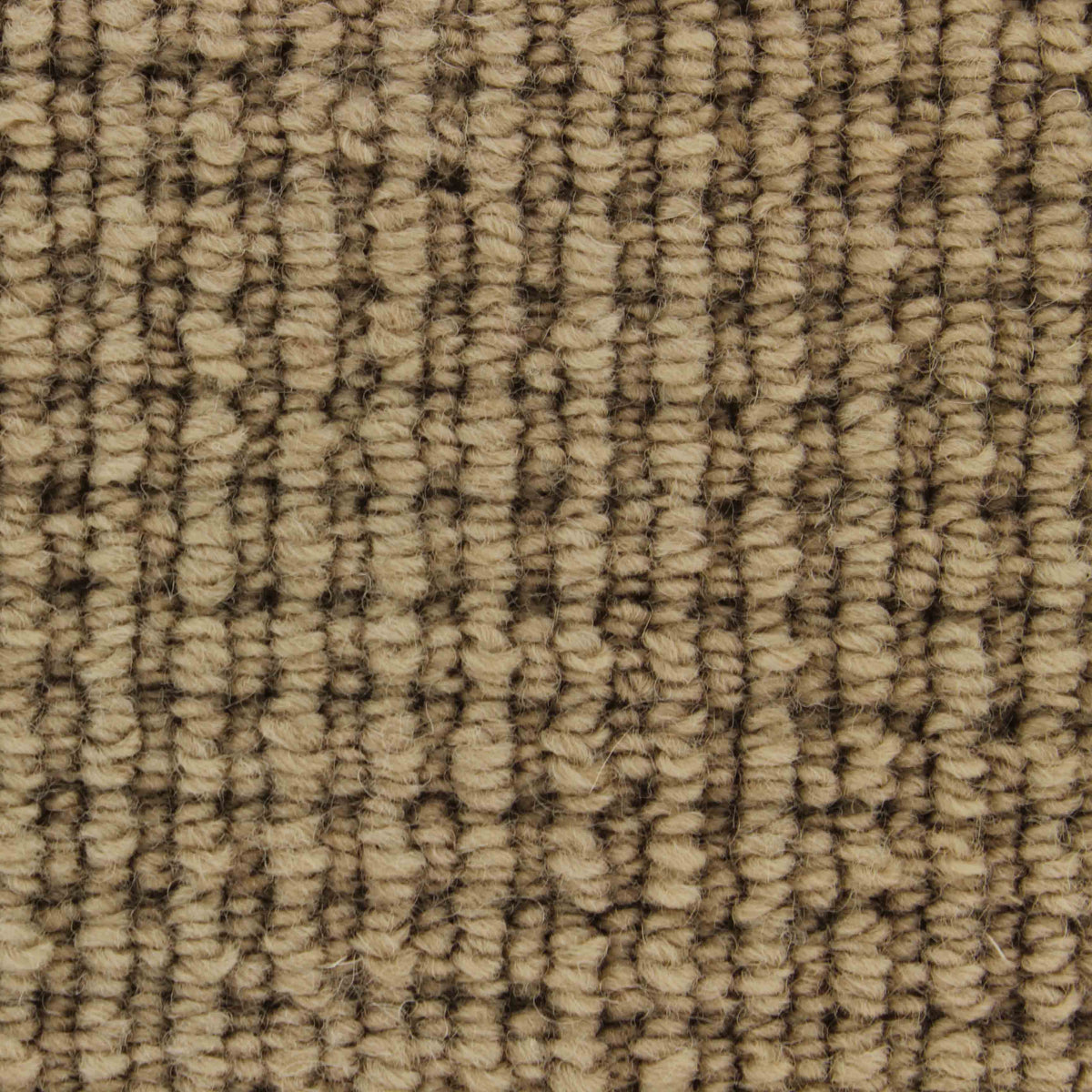 Pervgia Carpet