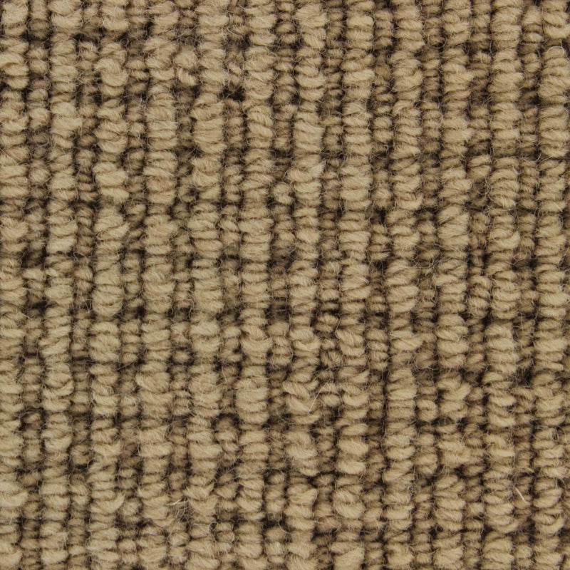 Pervgia Carpet
