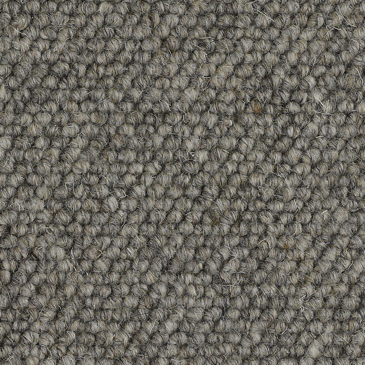 Padstow Carpet
