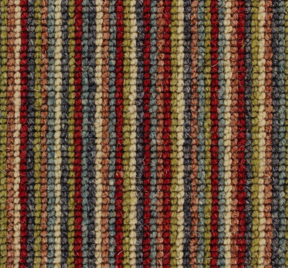 Livorno Carpet