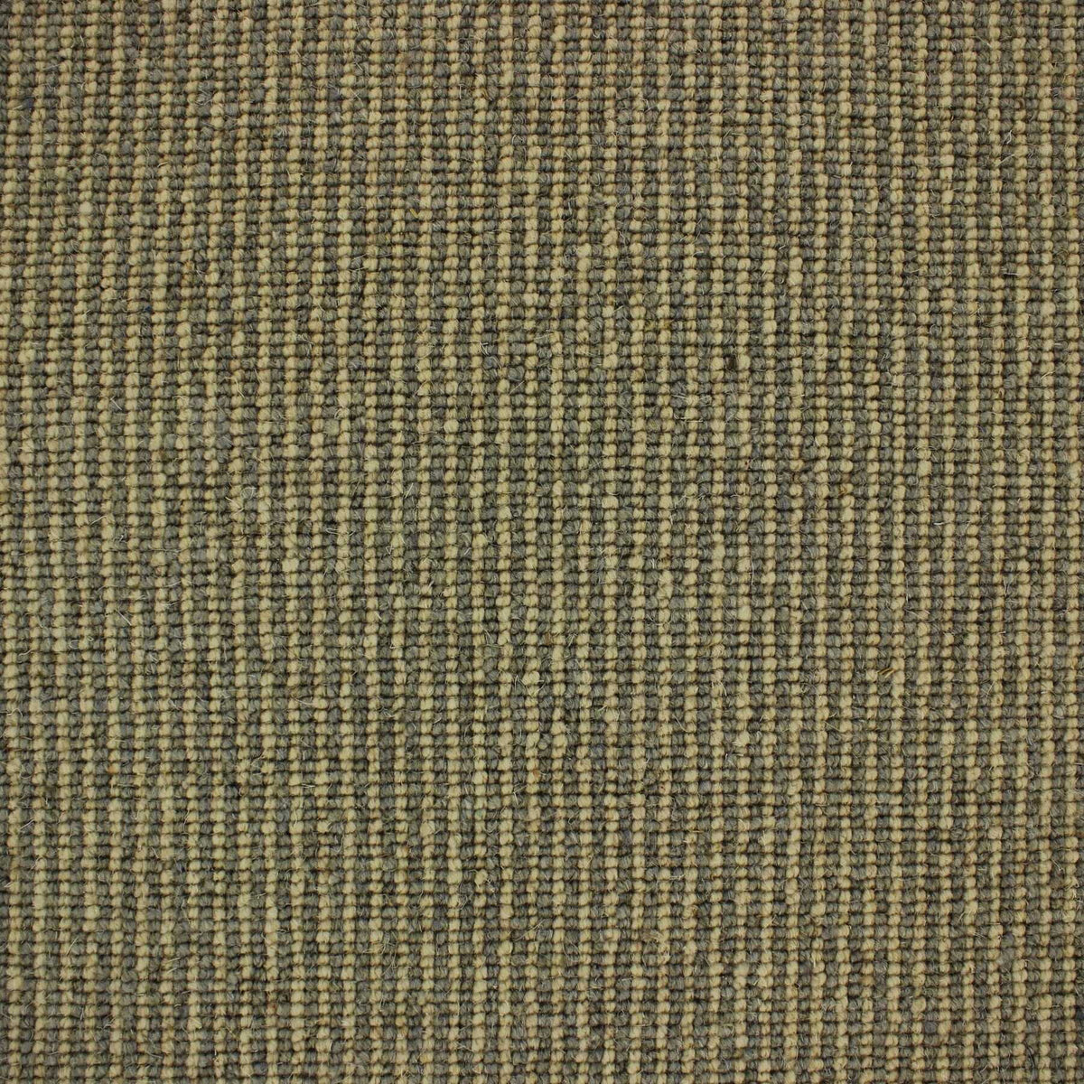 Livorno Carpet