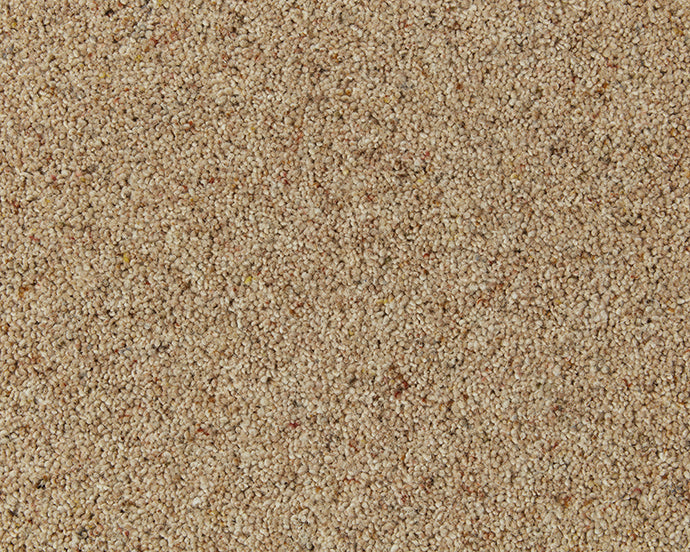 Montrose Berber Twist Elite 45oz Carpet