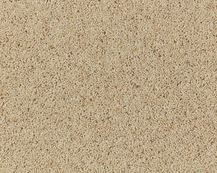 Montrose Berber Twist Elite 45oz Carpet