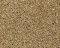 Montrose Berber Twist Elite 45oz Carpet