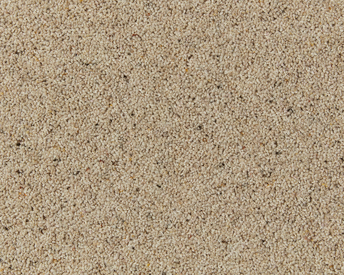 Montrose Berber Twist Elite 45oz Carpet