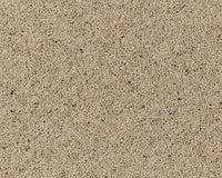 Montrose Berber Twist Elite 45oz Carpet