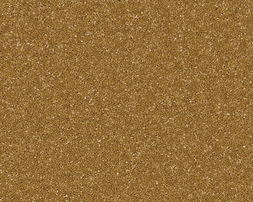 New Forest Twist Carpet
