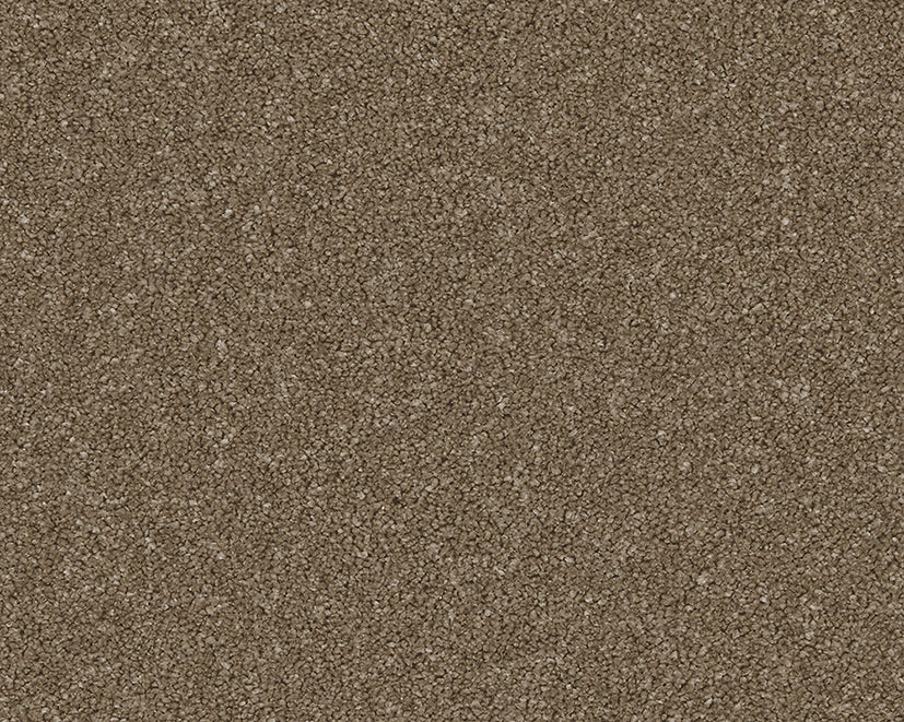New Forest Twist Carpet