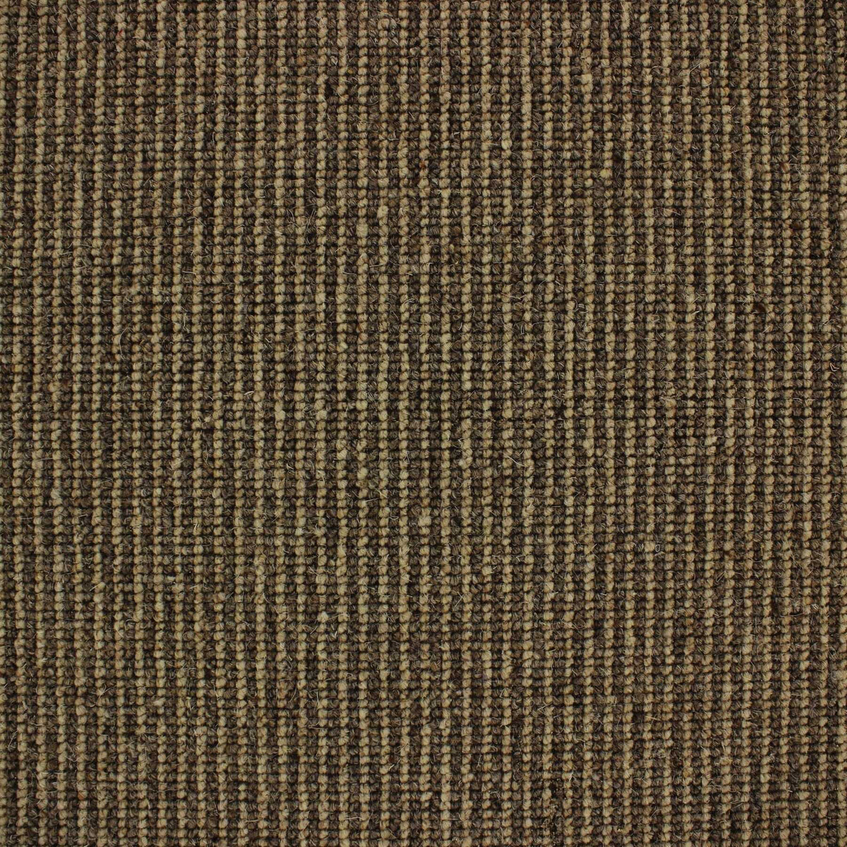 Livorno Carpet